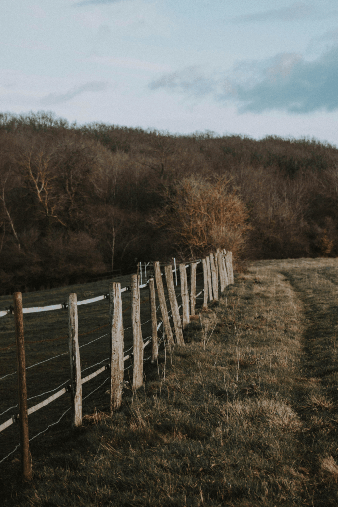 An old wooden fence in nature with the background of trees dispaying a boundary