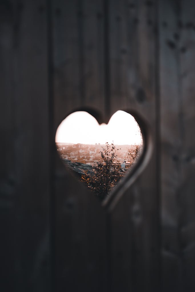 A heart-shaped cutout in a wooden fence reveals a scenic view of a natural landscape at twilight.
