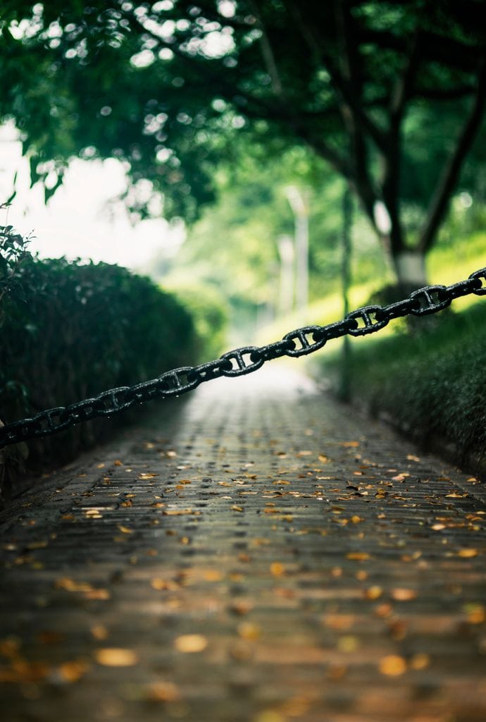 A serene park pathway with an iron chain boundary, surrounded by lush green trees