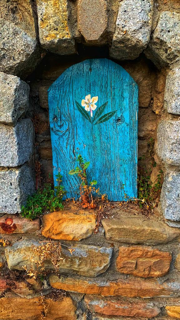 Turquoise-blue door set in a rustic stone wall, symbolizing the vagus nerve as a gateway to healing, resilience, and burnout recovery.